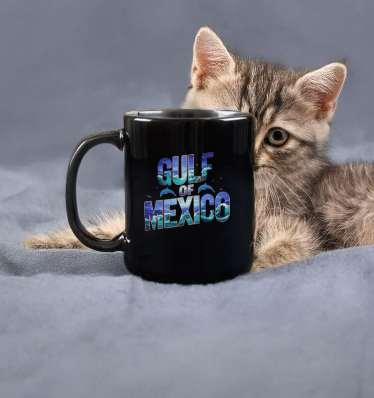 Anti Trump Funny Gulf of Mexico Flag Classic Mug