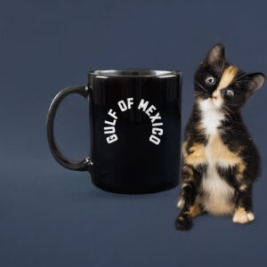 Anti Trump - Gulf of Mexico Funny Holiday Mug