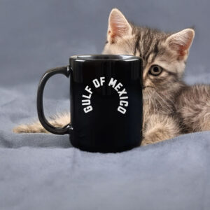 Anti Trump - Gulf of Mexico Funny Holiday Mug