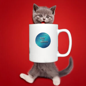 Anti Trump - Gulf of Mexico New Mug