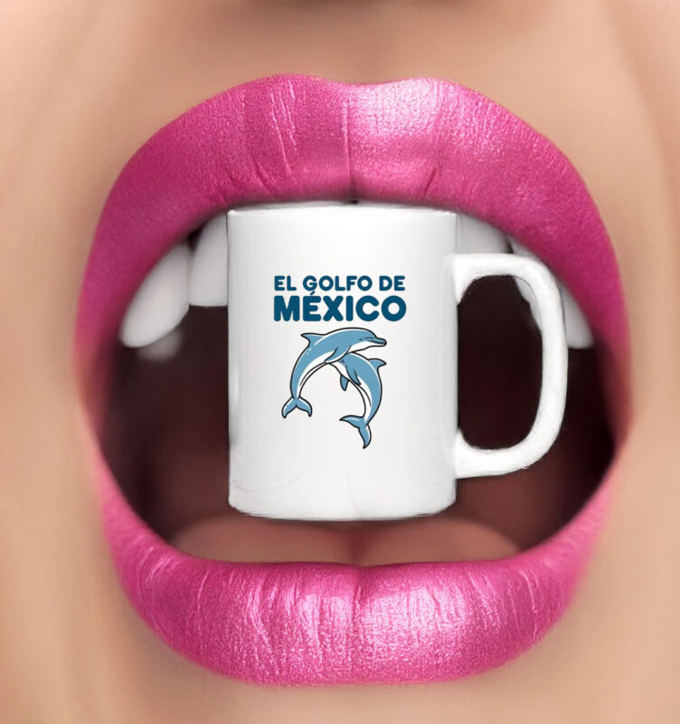 Dolphin El Golfo De México - Gulf Of Mexico Mug