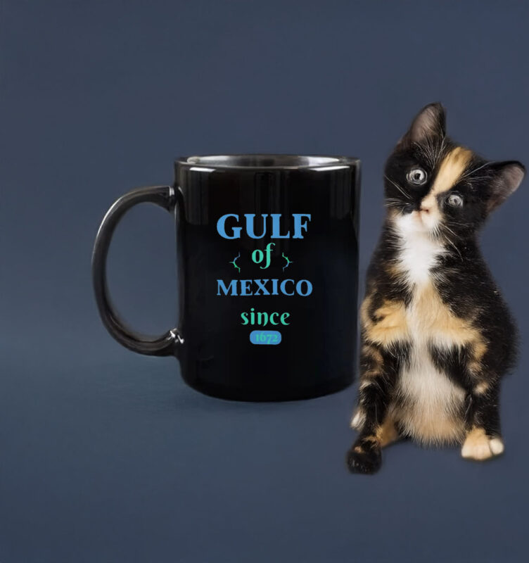 GULF OF MEXICO Classic Since 1672 Mug