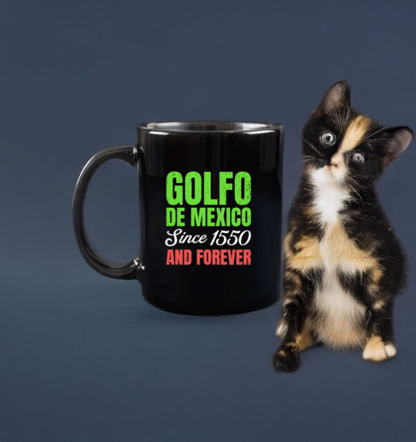 Golfo De Mexico since 1550 and forever Mug