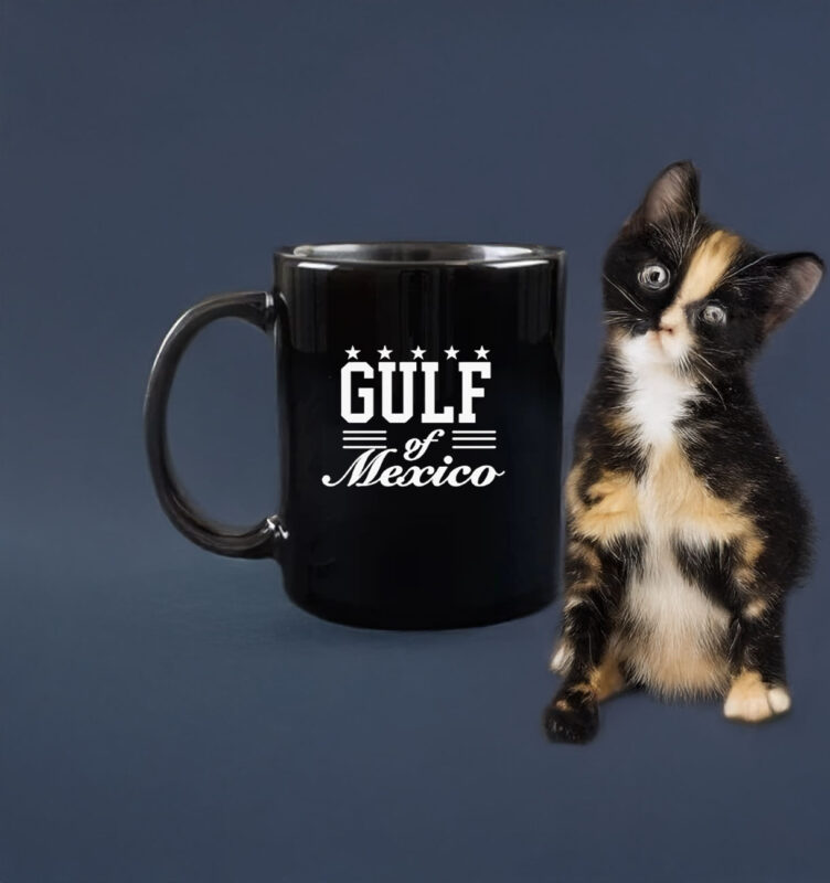 Gulf De Mexico 1550 - Gulf Of Mexico Mug