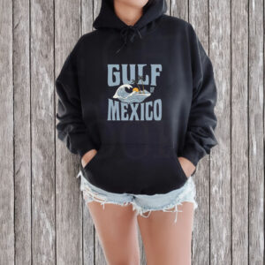 Gulf of Mexico - Anti Gulf of America Democrat - Anti-Fascist T-shirt