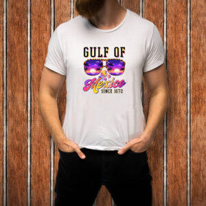 Gulf of Mexico - Vintage Gulf of Mexico Since 1672 T-Shirt