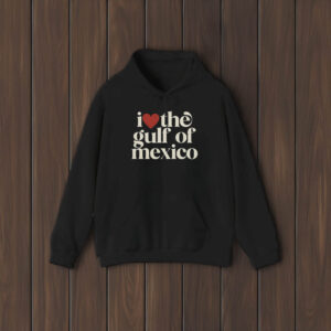 I love the gulf of mexico shirt, deport elon t-shirt