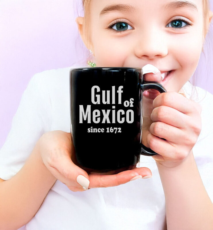 Nice Retro Gulf Of Mexico Since 1672 Mug