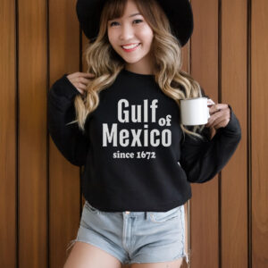 Nice Retro Gulf Of Mexico Since 1672 T-Shirt