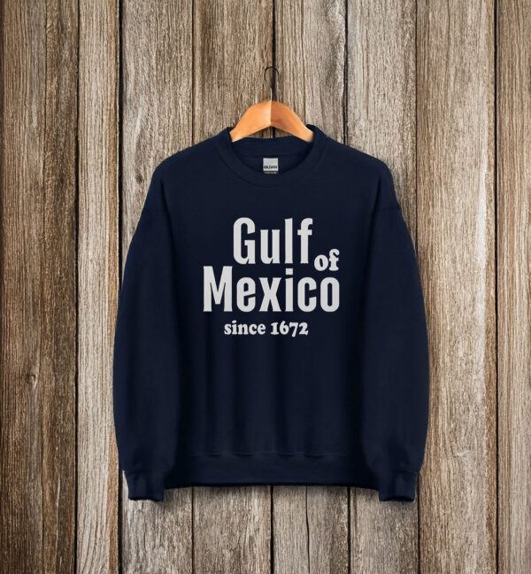 Nice Retro Gulf Of Mexico Since 1672 T-Shirt