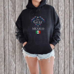 THE GULF OF MEXICO 2 Classic T-Shirt
