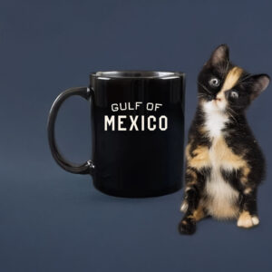That body of water will always be called the Gulf of Mexico Mug