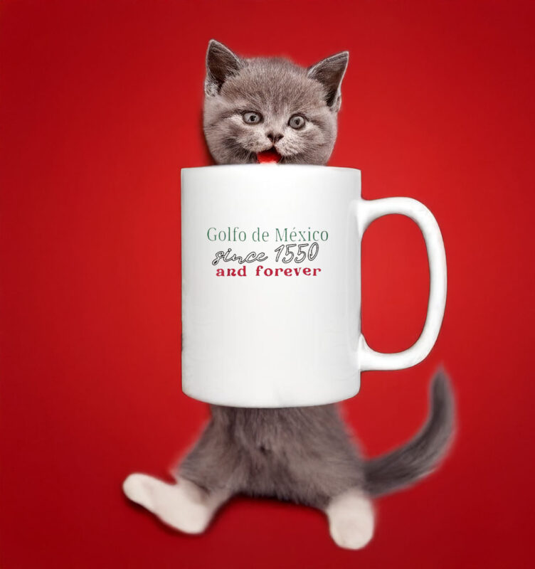 Vintage Golfo de Mexico Since 1550 And Forever Mug