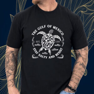 The Gulf of Mexico Stay Salty And Resis EST 1550, Mexico Lover T-Shirt