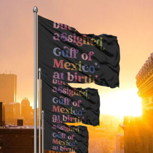 But It Was Assigned Gulf of Mexico at Birth Flag