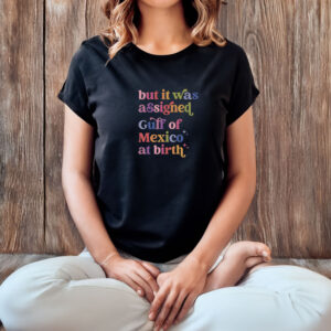 But It Was Assigned Gulf of Mexico at Birth Shirt