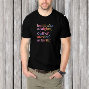 But It Was Assigned Gulf of Mexico at Birth Shirt